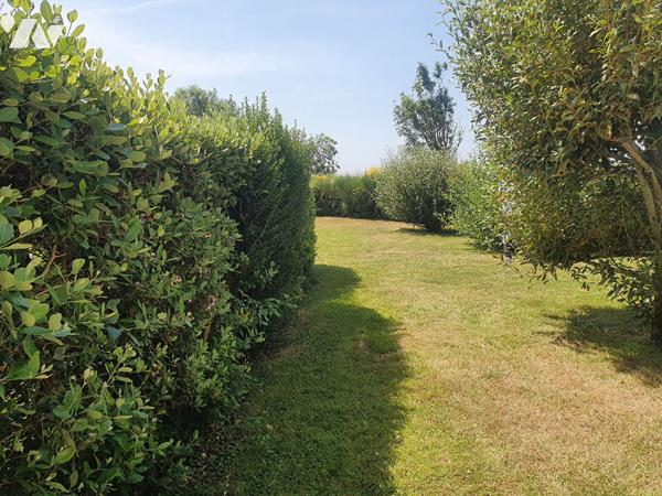 Appartement Courseulles Sur Mer 2 pièce(s) 31 m2