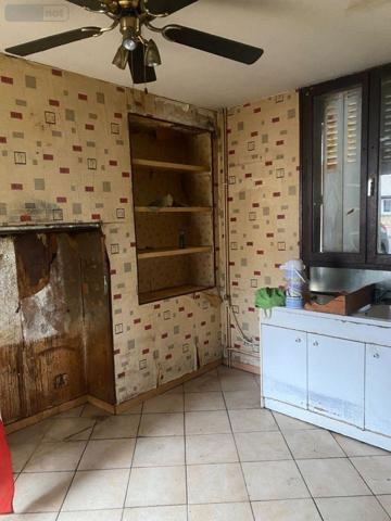 Maison à vendre à Bayard-sur-Marne en Haute-Marne (52170), ref : JO/1039