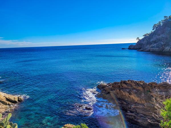 Maison à vendre  6 pièces - 160 m2 CAVALAIRE SUR MER - 83