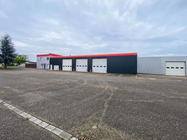 Ensemble immobilier mixte Entrepôts + bureaux + logements+terrain  Wittenheim 68720