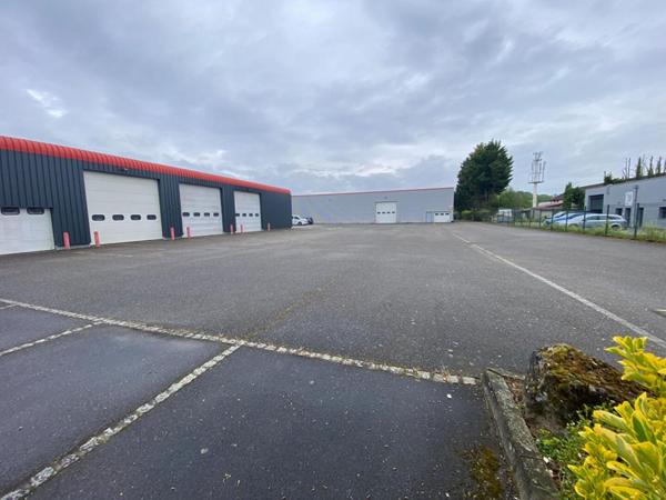 Ensemble immobilier mixte Entrepôts + bureaux + logements+terrain  Wittenheim 68720