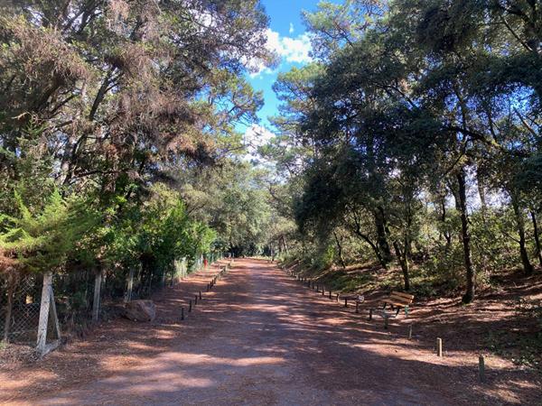 Appartement Jard Sur Mer 1 pièce(s) 27.7 m2