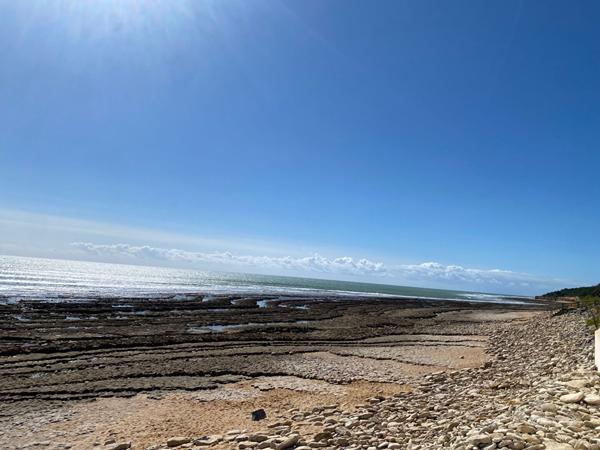 Appartement Jard Sur Mer 1 pièce(s) 27.7 m2