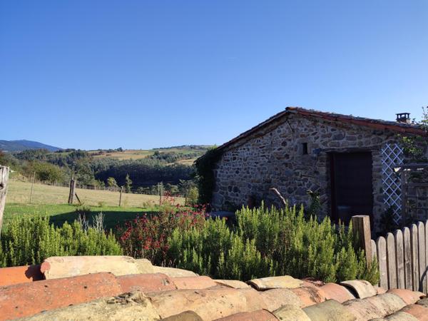 Le Charme de l'ancien dans un endroit rare