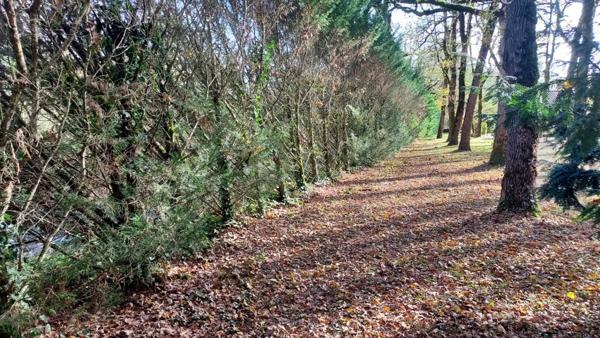 Terrain à vendre de 1 090,00 m² BALADOU (46)