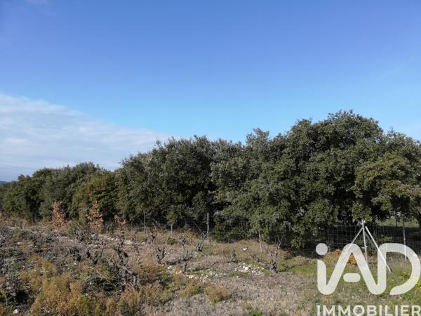 Terrain à vendre 1 368 m² Sainte-Cécile-les-Vignes