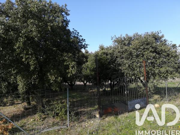 Terrain à vendre 1 368 m² Sainte-Cécile-les-Vignes