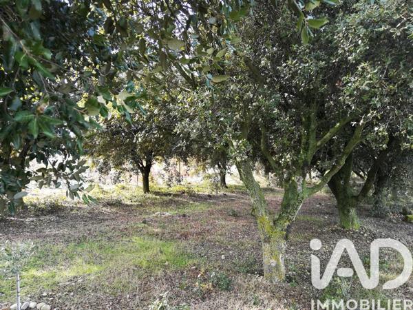 Terrain à vendre 1 368 m² Sainte-Cécile-les-Vignes