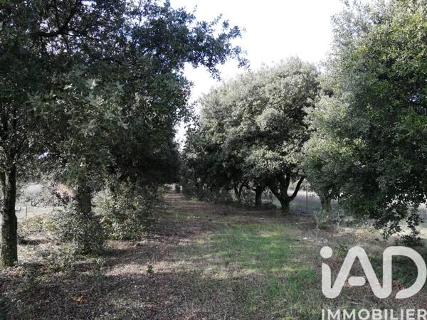 Terrain à vendre 1 368 m² Sainte-Cécile-les-Vignes