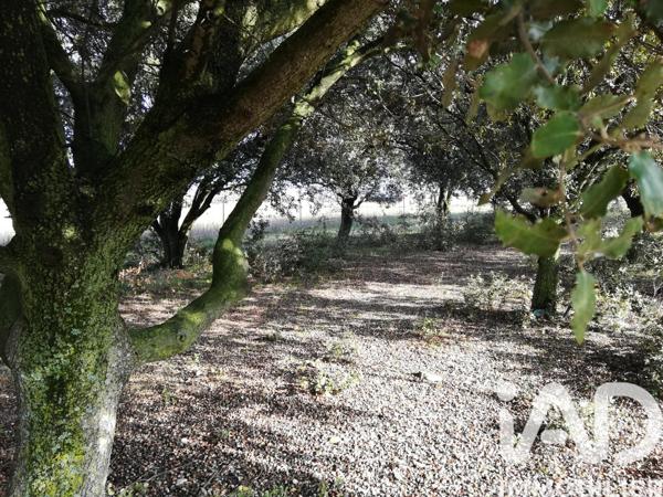 Terrain à vendre 1 368 m² Sainte-Cécile-les-Vignes