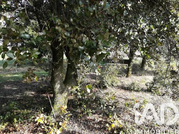 Terrain à vendre 1 368 m² Sainte-Cécile-les-Vignes