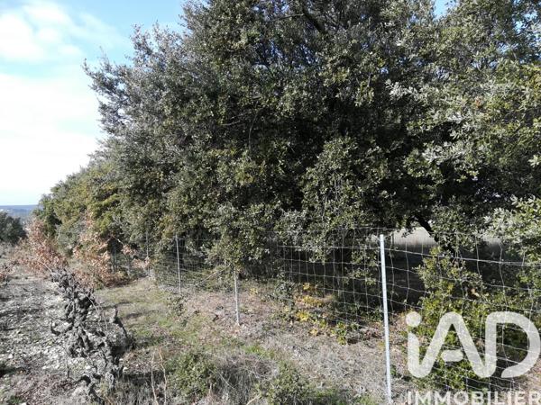 Terrain à vendre 1 368 m² Sainte-Cécile-les-Vignes