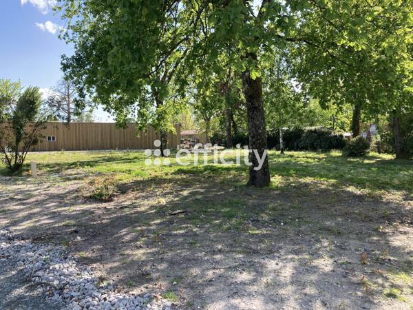 Terrain
        
        - 200 m²