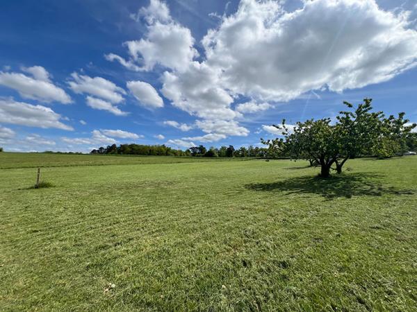 Terrain Chissay En Touraine 5320 m2