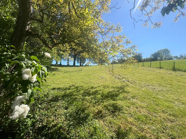 Terrain Chissay En Touraine 5320 m2