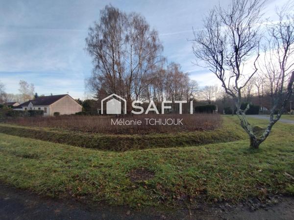 Terrain a bâtir viabilisé