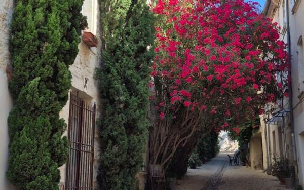 Maison à louer    3 pièces •  Villeneuve-lès-Avignon