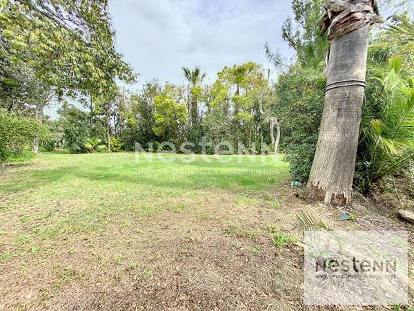 Terrain d'exception à vendre à Lattes - 1020 m² - Plat et ensoleillé.