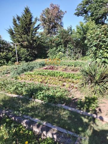 Pour Investisseur idéal