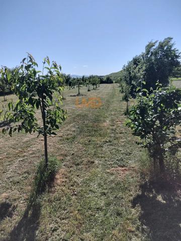 Pour Investisseur idéal