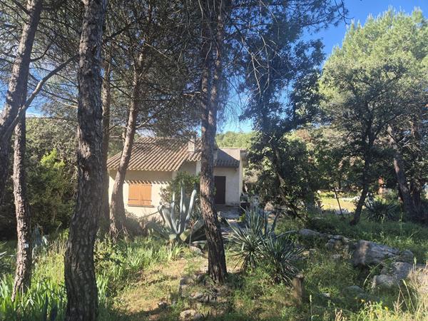 Terrain agricole 10100 m2 avec Mazet - GIGEAN