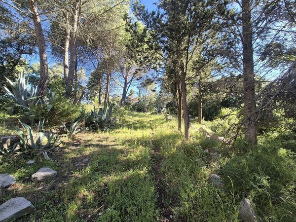 Terrain agricole 10100 m2 avec Mazet - GIGEAN