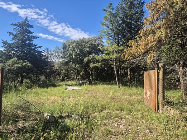 Terrain agricole 10100 m2 avec Mazet - GIGEAN