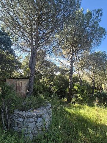 Terrain agricole 10100 m2 avec Mazet - GIGEAN