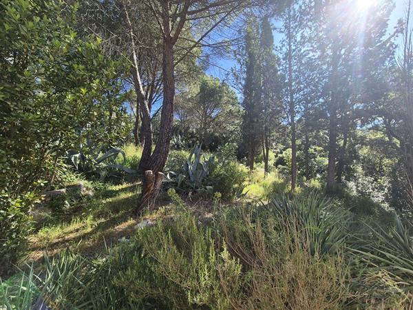 Terrain agricole 10100 m2 avec Mazet - GIGEAN