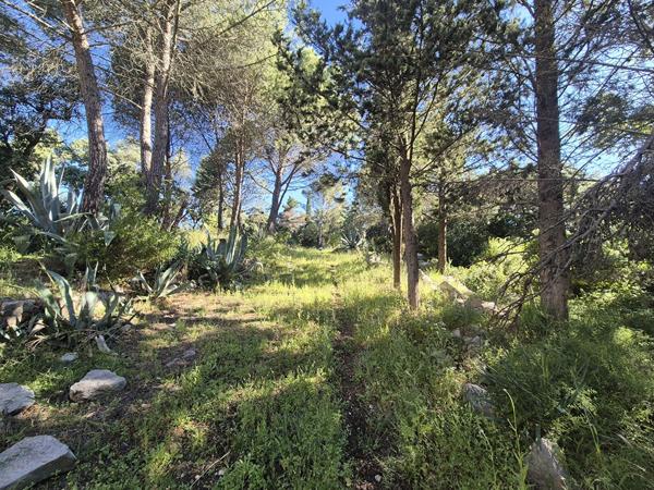 Terrain agricole 10100 m2 avec Mazet - GIGEAN