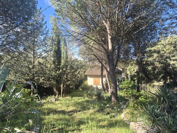 Terrain agricole 10100 m2 avec Mazet - GIGEAN