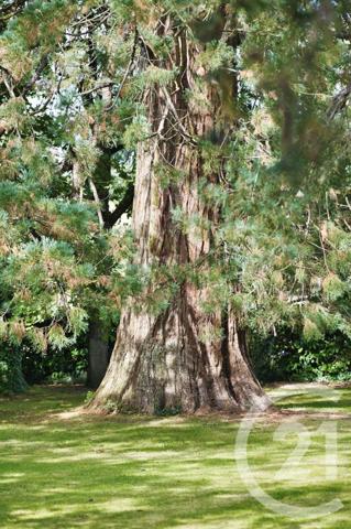 Maison à vendre  12 pièces - 374,51 m2 VITRE - 35