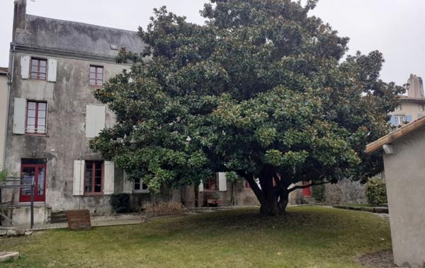 Vente Appartement P4 rénové(e) Parthenay   