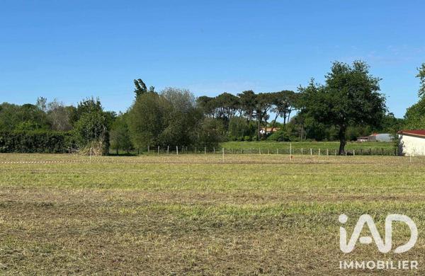 Terrain à vendre 1 648 m² Anglet