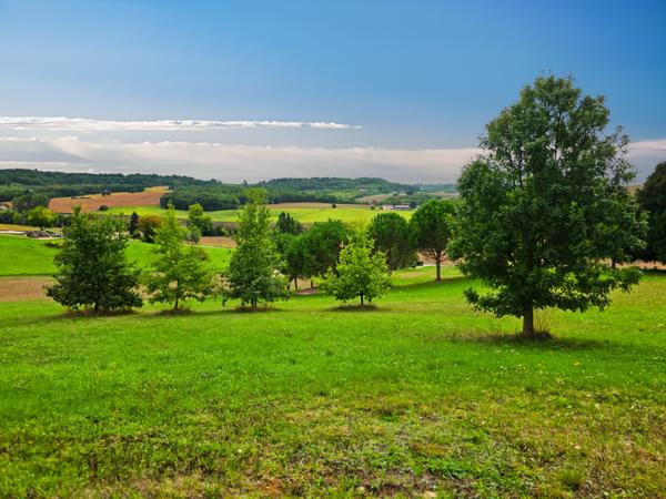 Maison 10 pièces - 300 m²