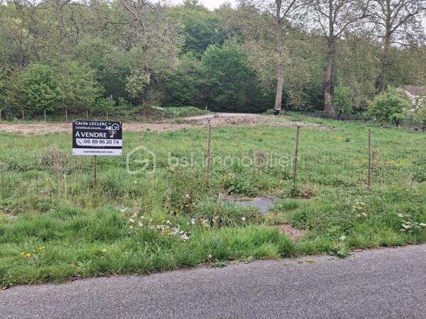 Terrain de 1 300 m²