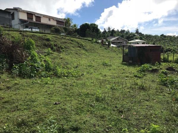 Dpt Martinique (972), à vendre LA TRINITE terrain de 940 m²