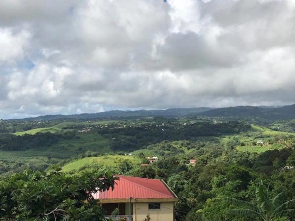 Dpt Martinique (972), à vendre LA TRINITE terrain de 940 m²