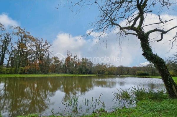 Terrain de loisirs de 9 100 m²