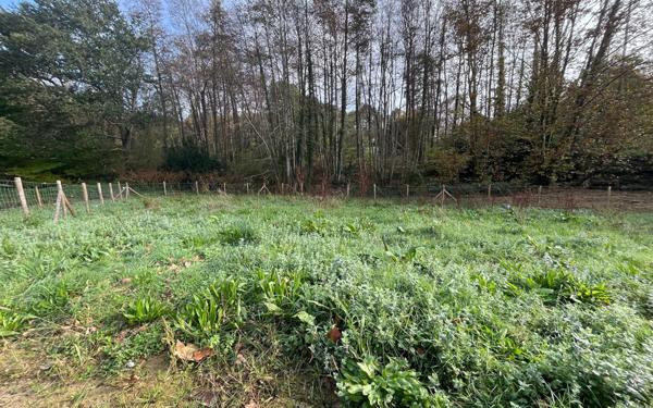 Terrain à vendre    Saint-Martin-de-Seignanx