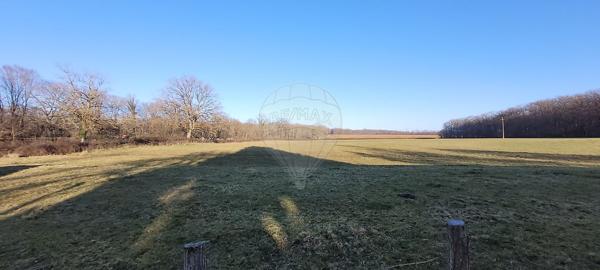 Maison  en vente - Nièvre - 58