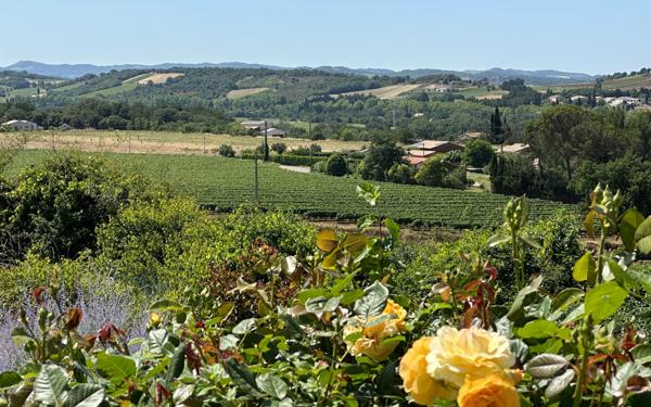 Maison à vendre    5 pièces •  Limoux