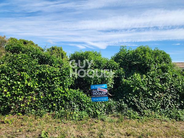 Exclusivité à Saint-Denis-d'Oléron : Terrain de 524 m² à vendre à 120 000 