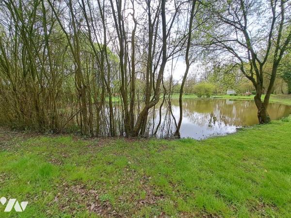 Etang