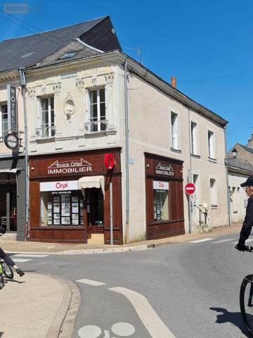 Immeuble à vendre à Montoire-sur-le-Loir dans le Loir-et-Cher (41800), ref : 41059-860