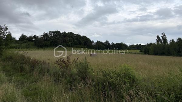 Terrain agricole de 20035 m2 .