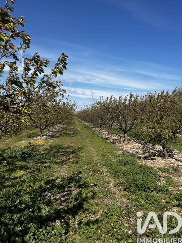 Terrain à vendre 103 160 m² Salses-le-Château
