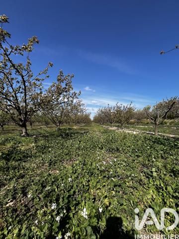 Terrain à vendre 103 160 m² Salses-le-Château