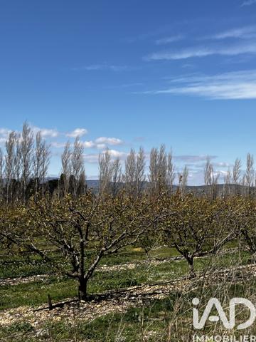 Terrain à vendre 103 160 m² Salses-le-Château