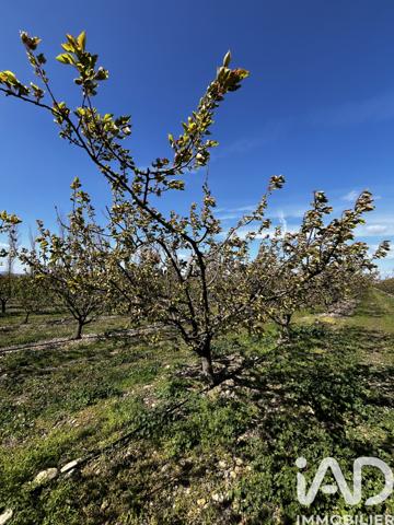 Terrain à vendre 103 160 m² Salses-le-Château